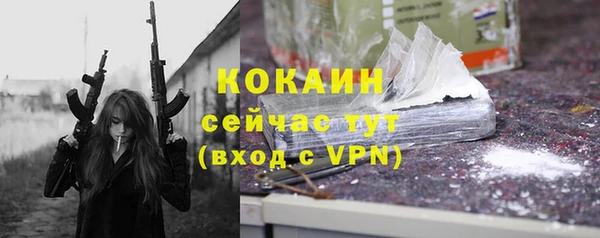 молекула духа Каменск-Шахтинский