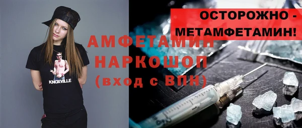 крисы Каменка