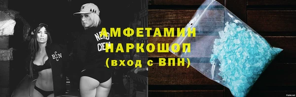 крисы Каменка