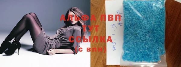 крисы Каменка