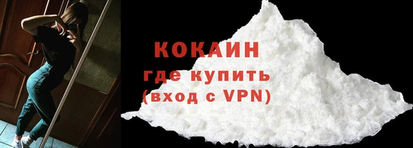 крисы Каменка
