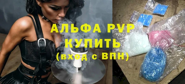 крисы Каменка