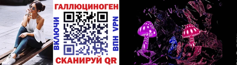 Галлюциногенные грибы Psilocybe  Купить  Зеленогорск 