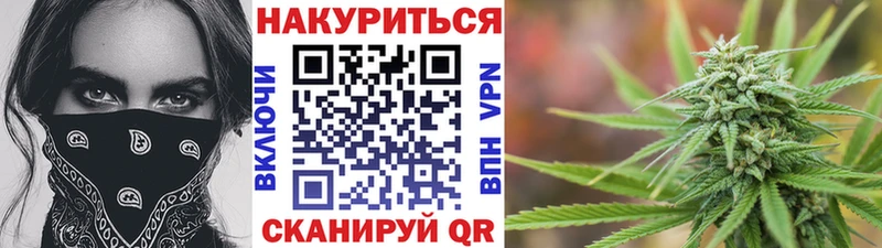 Купить где  Зеленогорск  Каннабис семена 